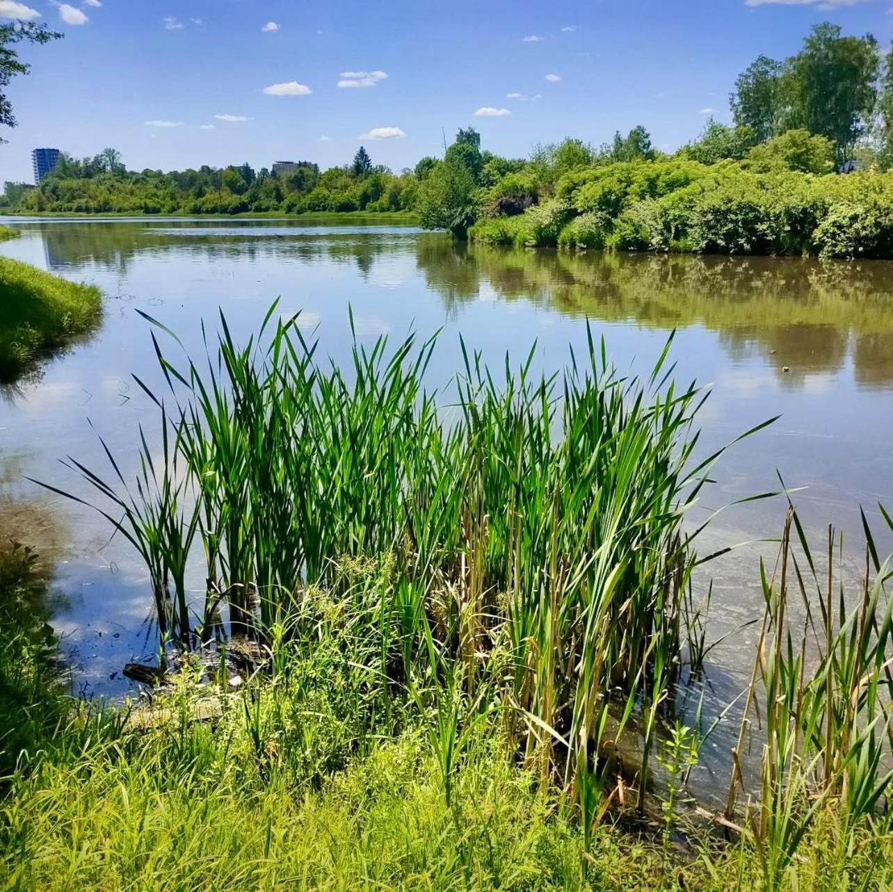 Apartamenty Kielce- Apartament Saphire Przy Zalew Kielecki, Faktura, Parking, Centrum Zewnętrze zdjęcie